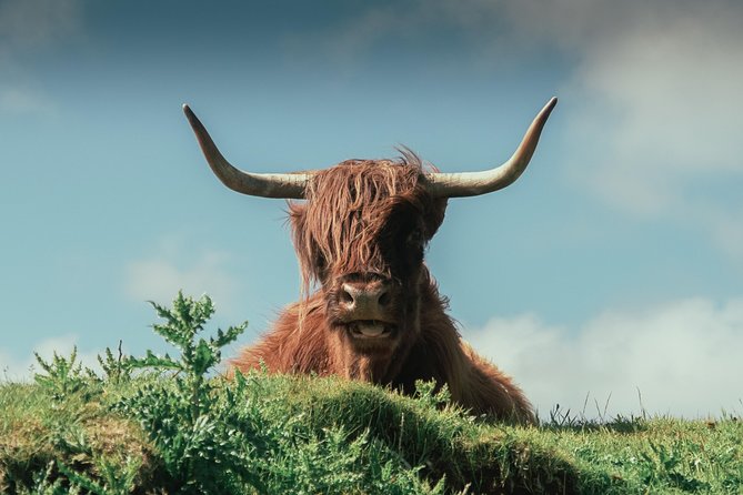 Loch Ness, Glen Coe & The Highlands Day Tour from Edinburgh - Fort Augustus on Loch Ness: Cruise Options and Real Time