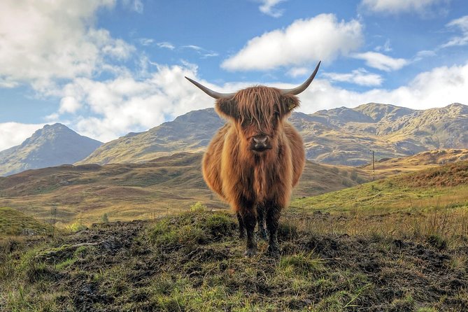 Loch Ness, Glencoe & the Highlands Guided Day Tour from Edinburgh - Fort William and the Ben Nevis Moment: Lunch + Big-Mountain Passing