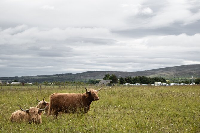 Private Full-Day Tour to the Scottish Highlands and Loch Ness - Price and value: is $572.05 per person worth it?