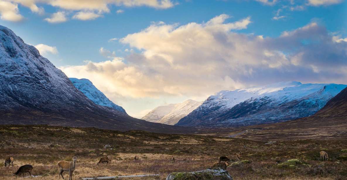 Private Harry Potter Day Tour For Small Groups - Glen Coe: Prisoner of Azkaban scenes meet mountain reality