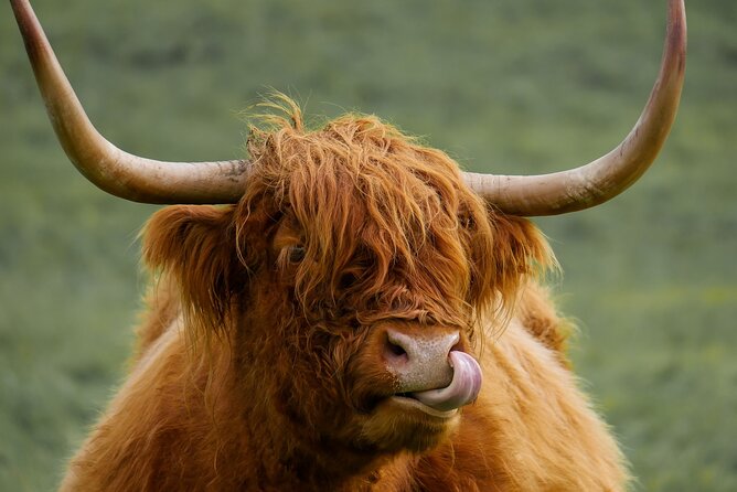 Private Luxury Mini Highlands Tour From Edinburgh - Braveheart - Aberfoyle, Dukes Pass, and the UNESCO Forth Bridge photo break