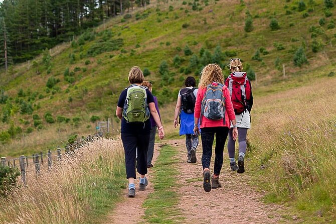 Private Mindfulness and Nature Walk in Edinburgh - Meeting Anna and Getting a Private Pace (Up to 10 People)