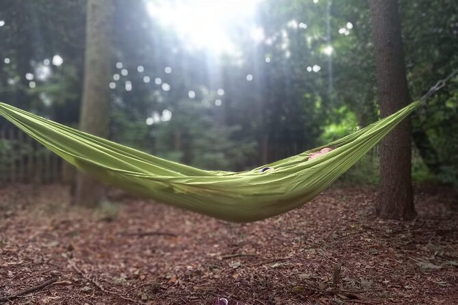 Private Mindfulness and Nature Walk in Edinburgh - The 90-Minute Plan: From Breathing to Meditation on Foot