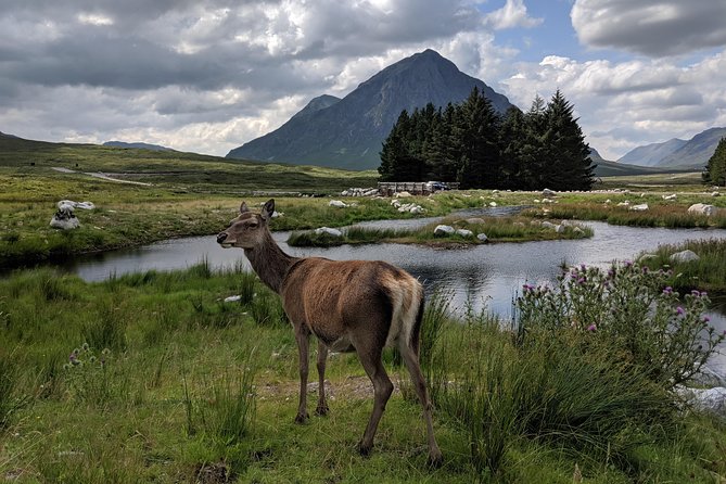 Private One Day Highlands Tour of Scotland - How the pacing works in a 10-hour, 240-mile day