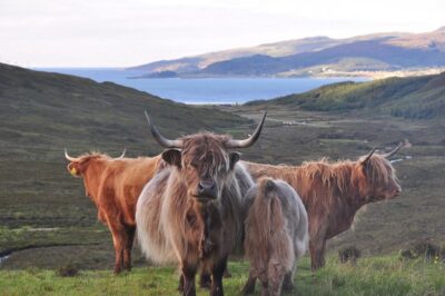 Private Outlander Tour for Small Groups - Edinburgh Hotel Pickup and the 8-Hour Rhythm