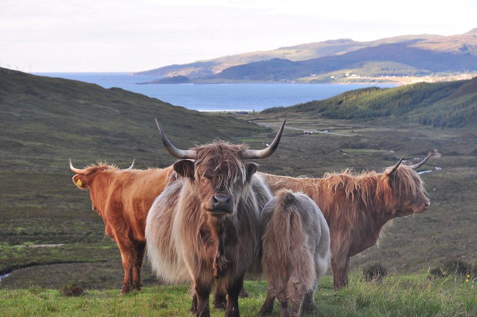 Private Outlander Tour for Small Groups - Edinburgh Hotel Pickup and the 8-Hour Rhythm