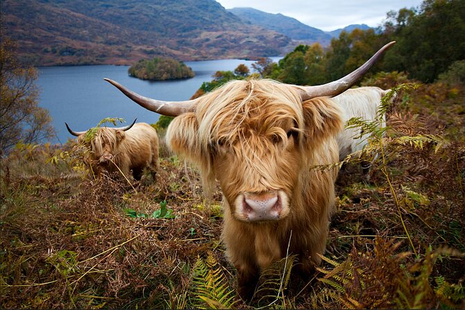 Private Tour of Loch Ness, Glencoe and Highlands from Edinburgh - Forth Road Bridge and Pitlochry: a quick UNESCO start