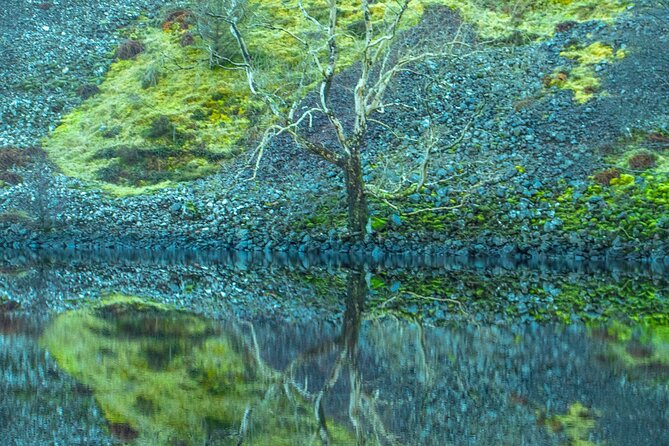 Private Tour of the Scottish Highlands from Edinburgh - Price and What You’re Really Buying (Up to 4 People)