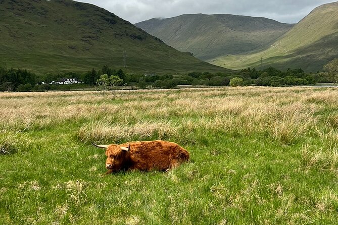 Private Tour to the Stunning Scottish Highlands & Glencoe - Glencoe: Big-Name Scenery With a Real-Life Pub Stop