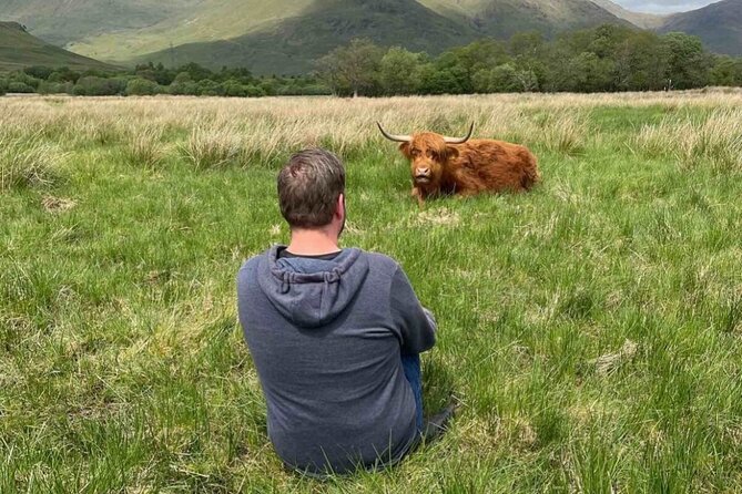 Private Tour to the Stunning Scottish Highlands & Glencoe - Price and Value for a Group of Up to 4