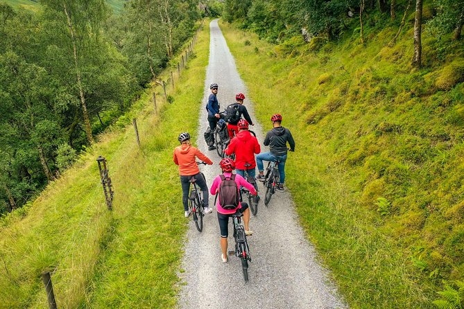 Ricky's gateway to the Highlands Tour - The Loch-Ard and Trossachs Feeling: Water, Wildlife, and Mist