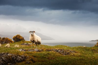 Scotland: West Highlands, Mull and Iona 4-Day Tour - Day 1: From Edinburgh through the Trossachs and Rannoch Moor to Tobermory