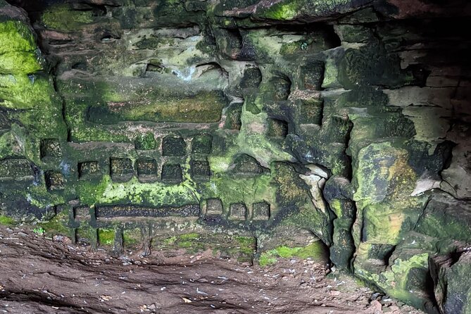 St Andrews, Fife Coast Walk & Historic Abbey Tour from Edinburgh - Cupar and Loch Leven Nature Reserve: The Nature Break That Adds Balance