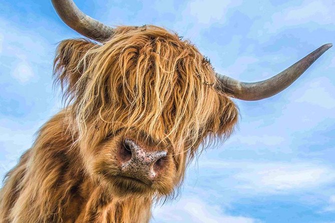 Stirling Castle Loch Lomond and Trossachs National Park day tour - Key things I’d watch for on this day trip