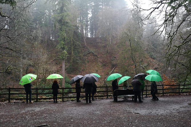 Stirling, Highlands & Distillery in Spanish - Falls of Dochart: where lunch by waterfalls makes the day feel special